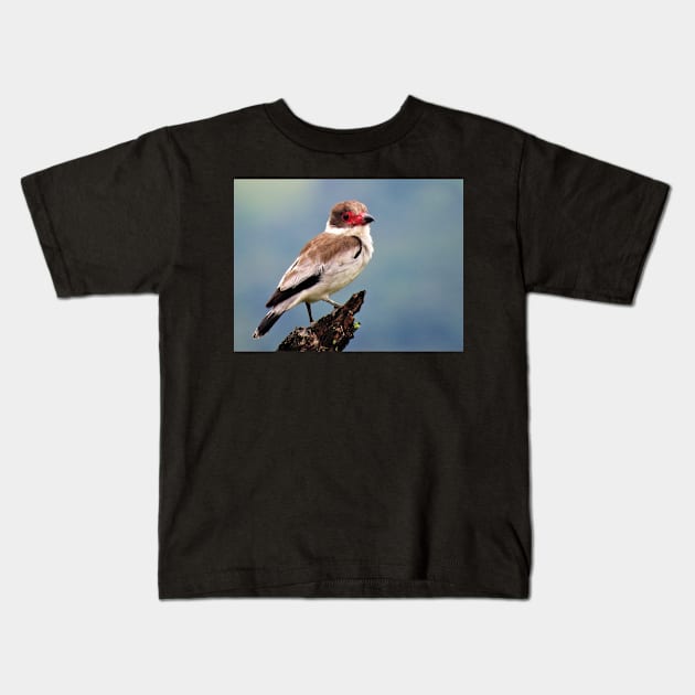 Exotic White Bird in Central America Photography Kids T-Shirt by julyperson